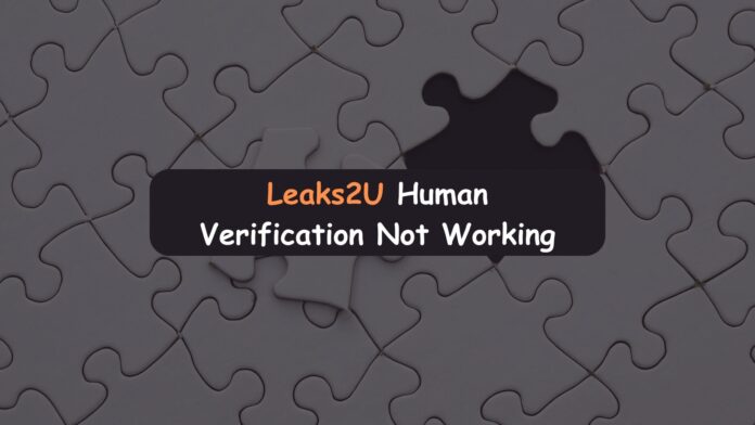 Leaks2U Human Verification Not Working